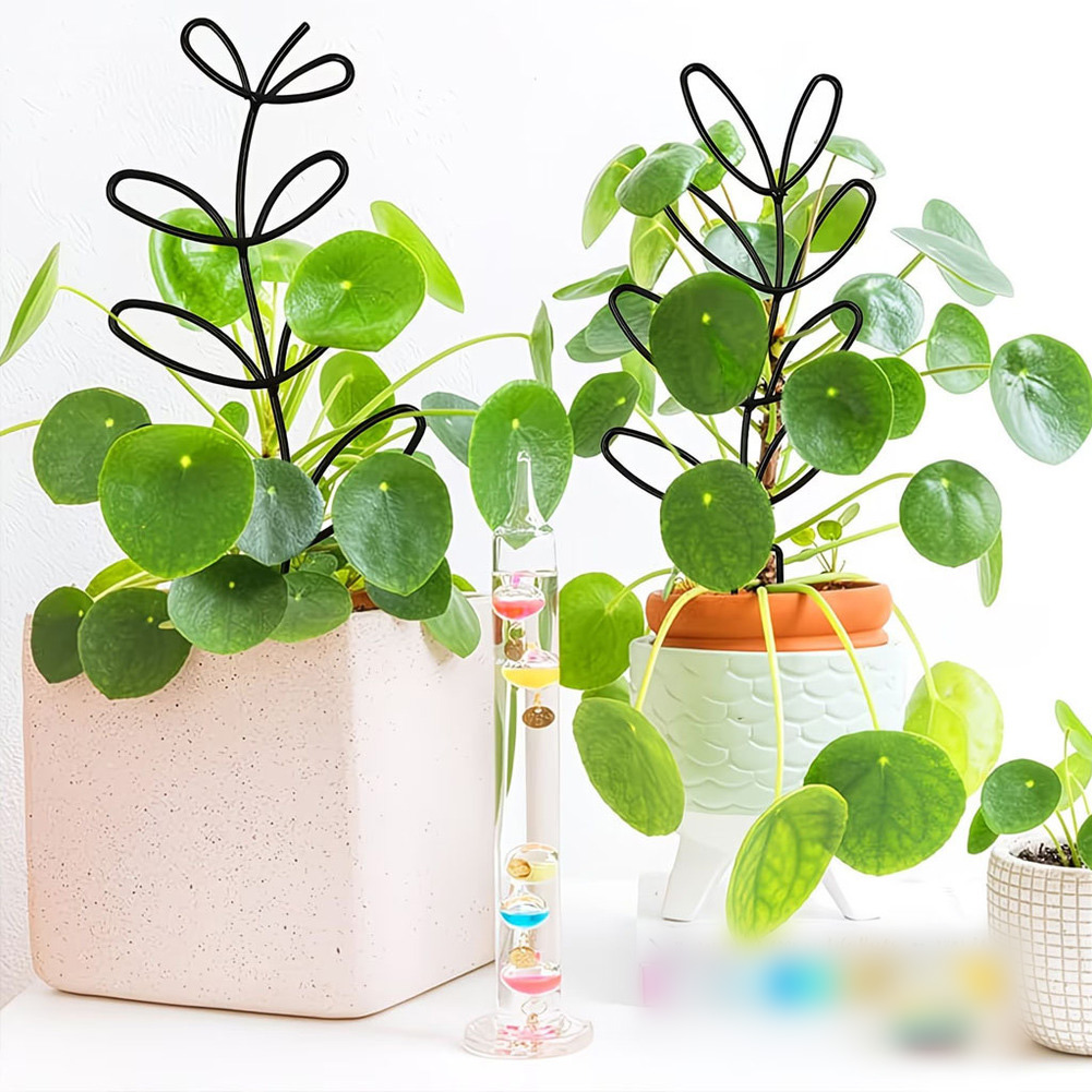 Bonsai Garden Design - For Indoor Decoration Hexagonal Plant Frame