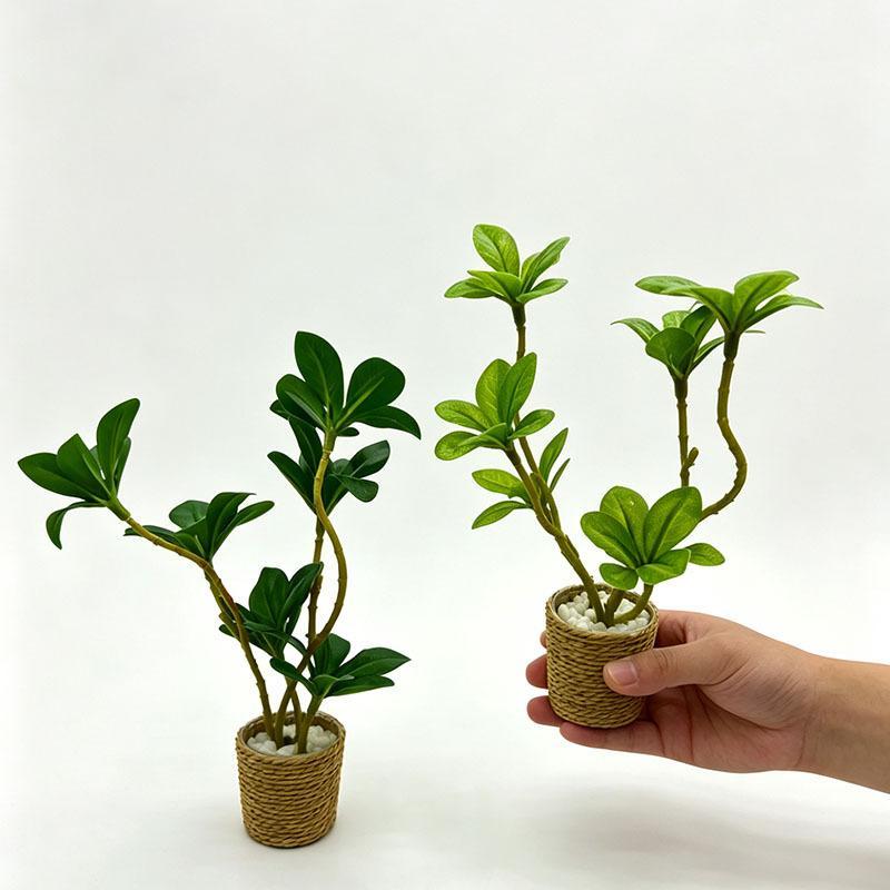Bonsai Gardenia - 【M】1Pcs Mini Fairy Garden Decorative Ornament