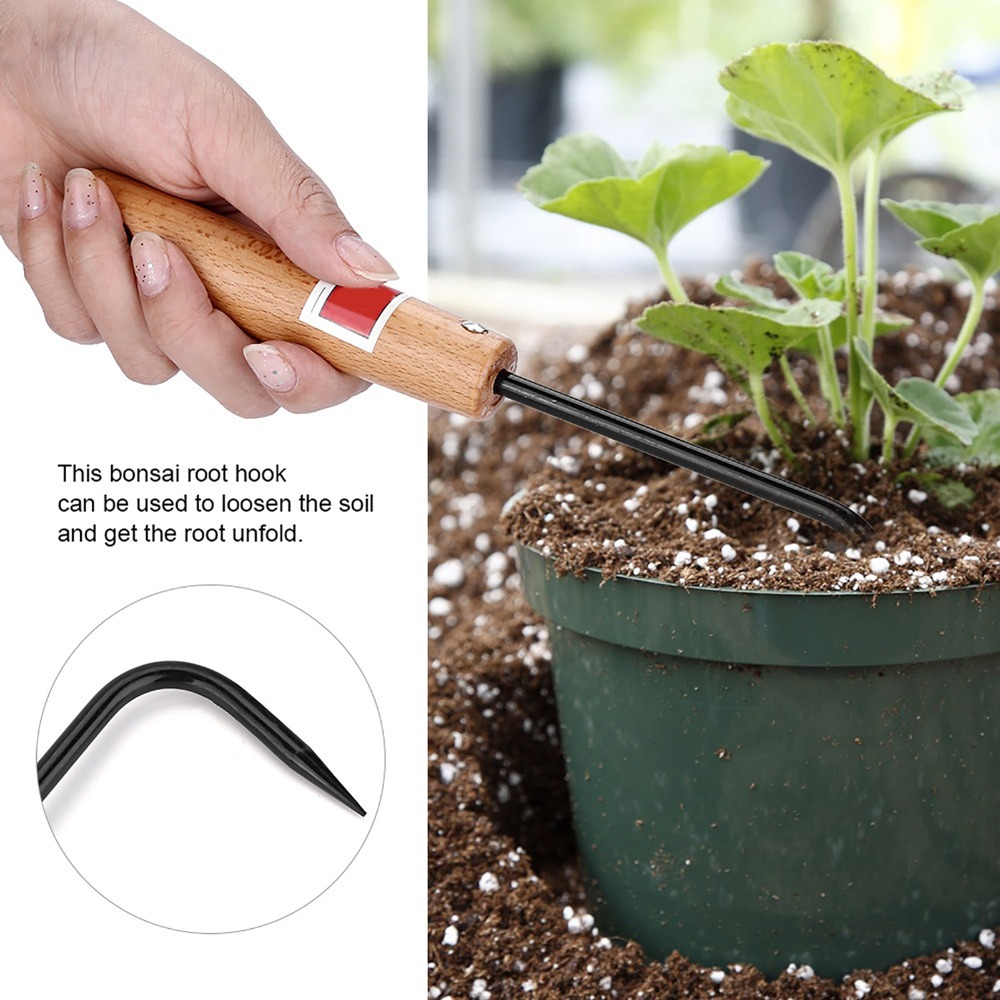 Sturdy Iron Bonsai Root Hook W - Bonsai Garden Design 评论和价格