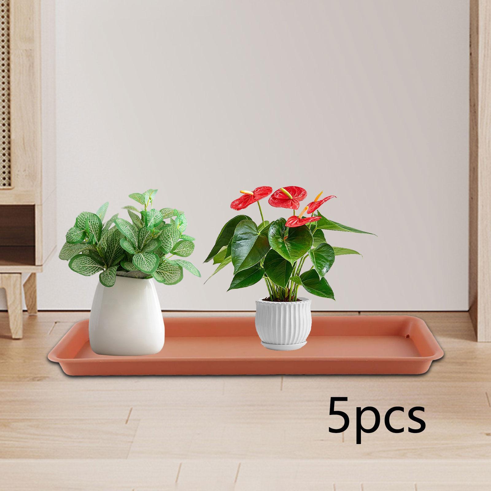 High Flower Pot for the Terrac - Drip Tray Saucer 评论和价格
