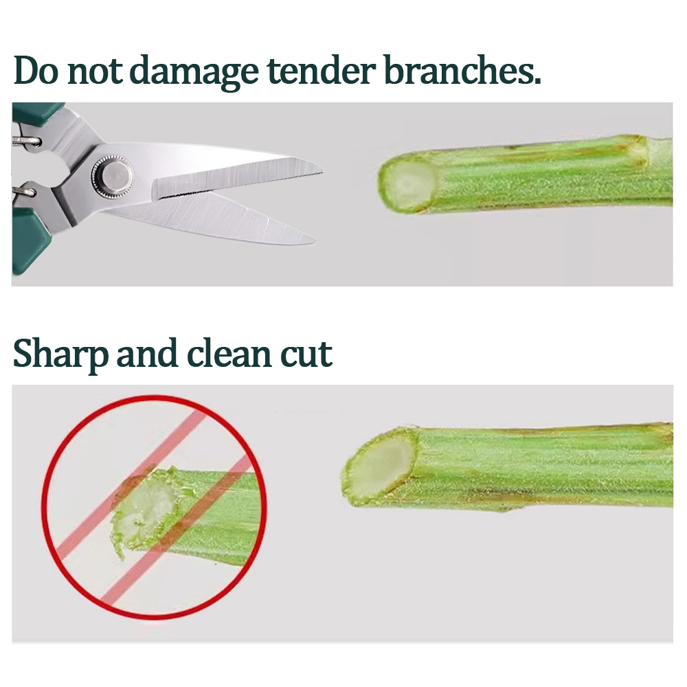 Home-use pruning tools for bon - Bonsai Garden Design 评论和价格