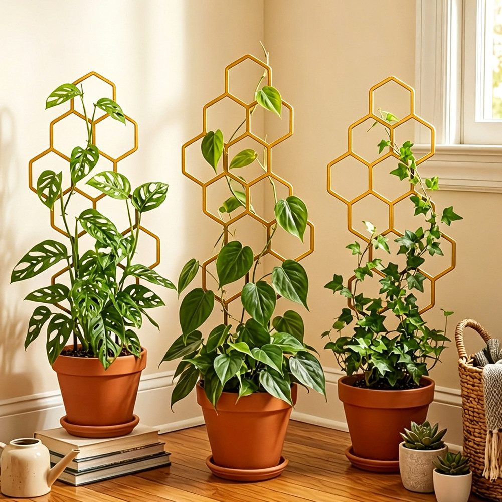 For Indoor Decoration Hexagona - Bonsai Garden Design 评论和价格