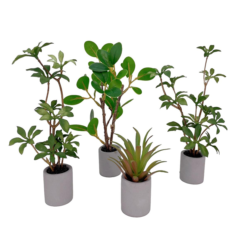 1:6 Dollhouse Miniature Potted - Bonsai Garden For Home 评论和价格