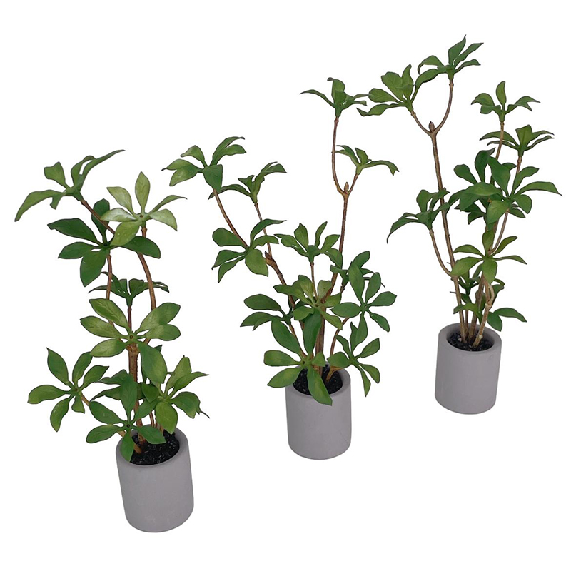 1:6 Dollhouse Miniature Potted - Bonsai Garden For Home 评论和价格