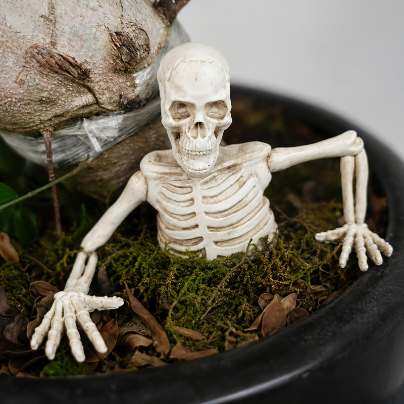 Half-body Climbing Out of the  - Bonsai Garden Design 评论和价格