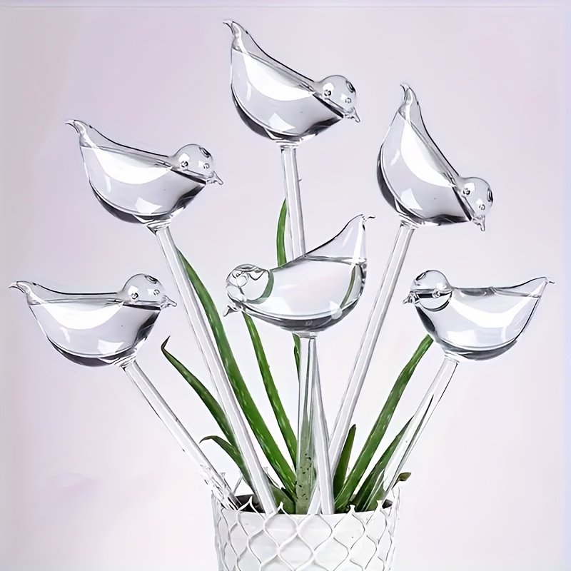 5pcs Automatic Watering Stake- - Bonsai Garden Design 评论和价格