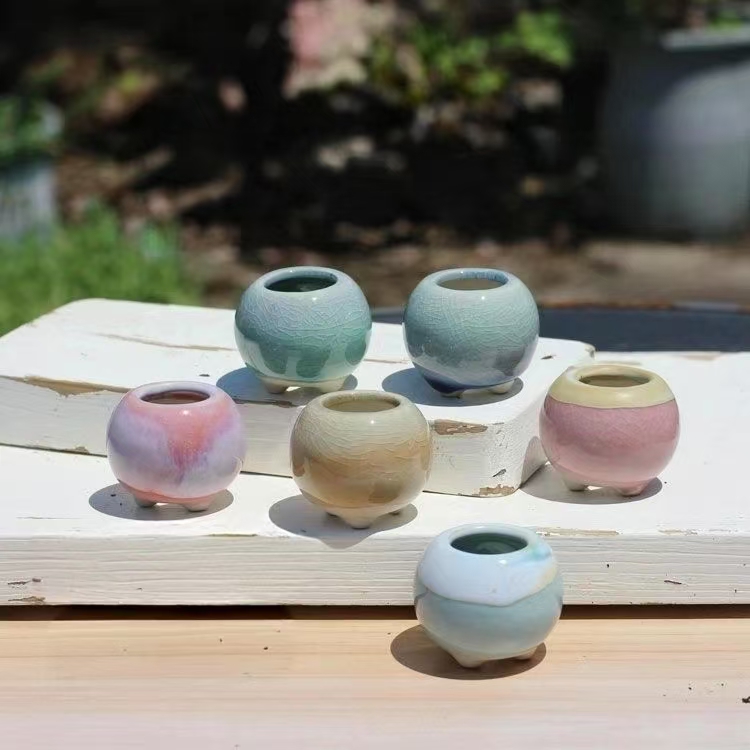 6Pcs Mini Flowerpot Succulents - Bonsai Gardenia 评论和价格