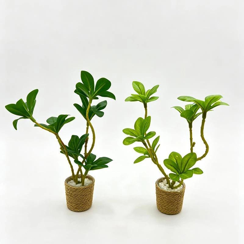 【M】1Pcs Mini Fairy Garden Deco - Bonsai Gardenia 评论和价格