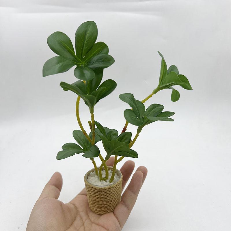 【M】1Pcs Mini Fairy Garden Deco - Bonsai Gardenia 评论和价格